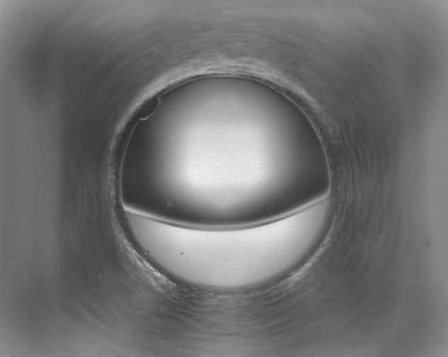 X0000076041506200609221106