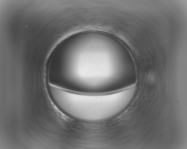 X0000076041508200609221106