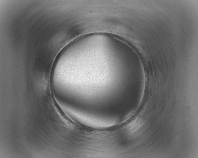 X0000076041513200609221106