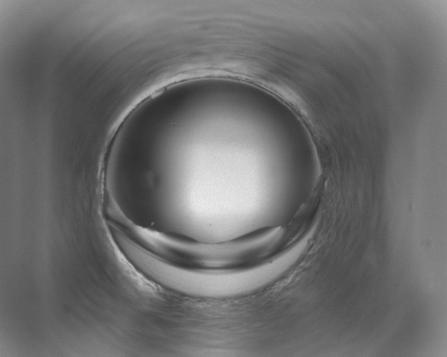 X0000076041524200609221106