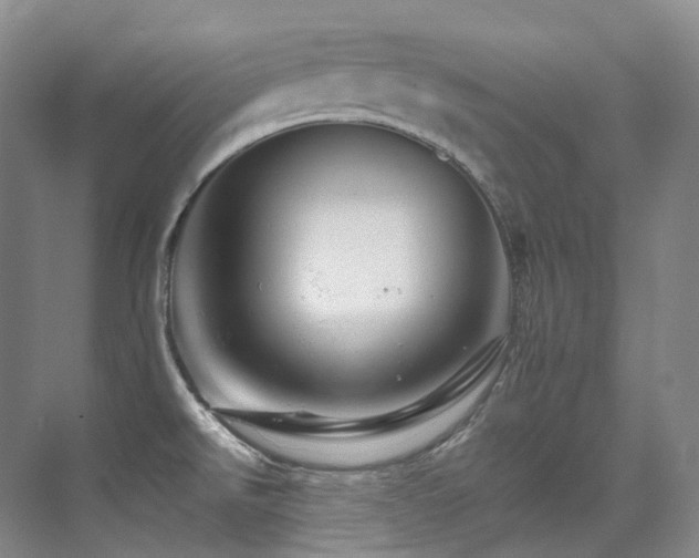 X0000076041526200609221106