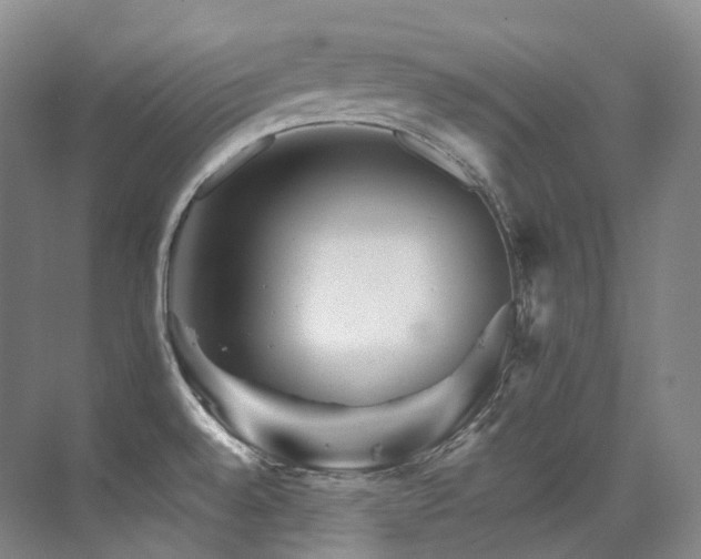 X0000076041528200609221106