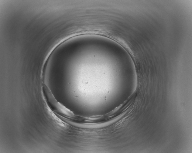 X0000076041532200609221106