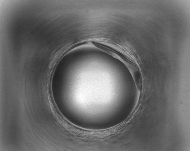 X0000076040001200609291036