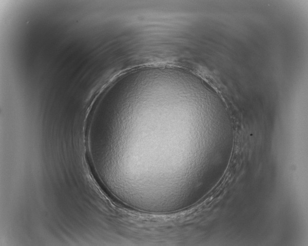 X0000076040002200609291036