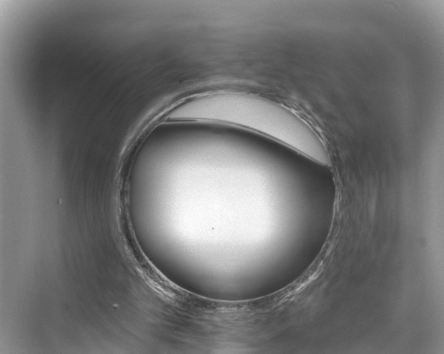 X0000076040101200609291035