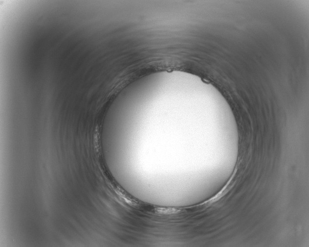 X0000076040144200609291034