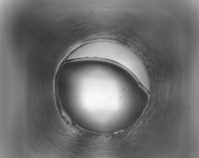 X0000076040148200609291033