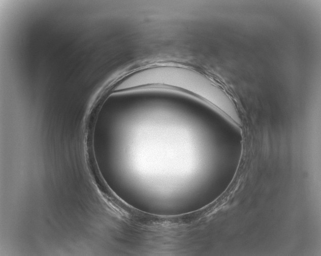 X0000076040197200609291033