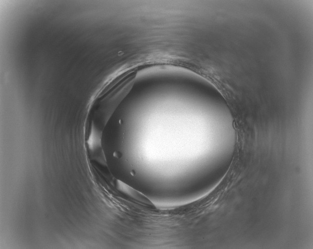 X0000076040244200609291031