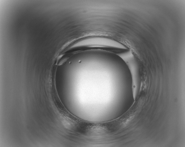 X0000076040348200609291030