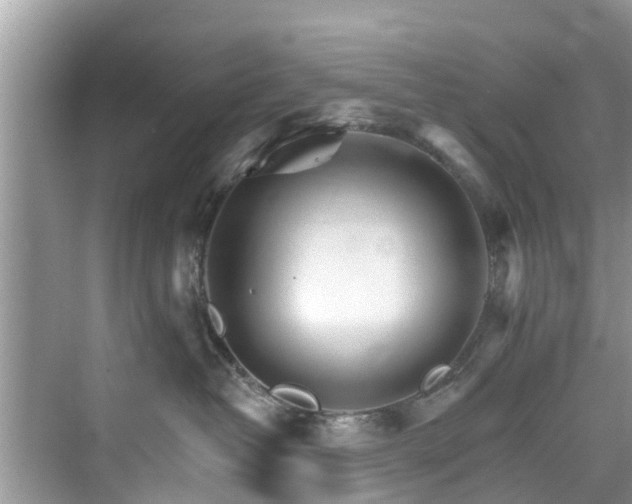 X0000076040382200609291030