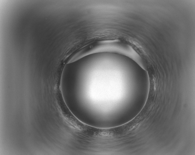 X0000076040546200609291027