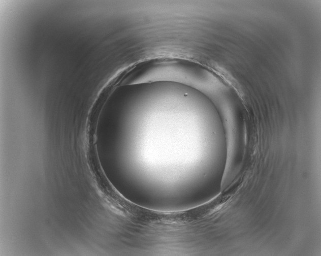 X0000076040580200609291026