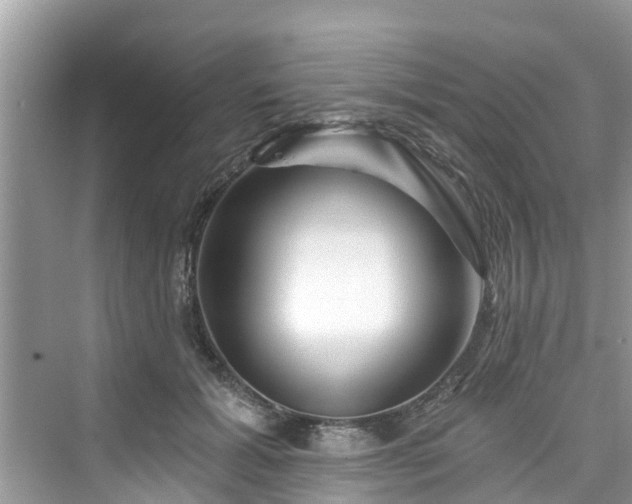 X0000076040605200609291026