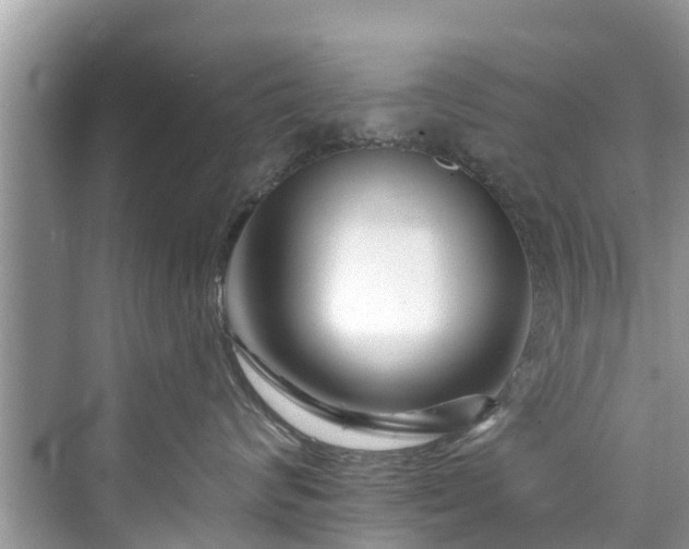 X0000076040624200609291026