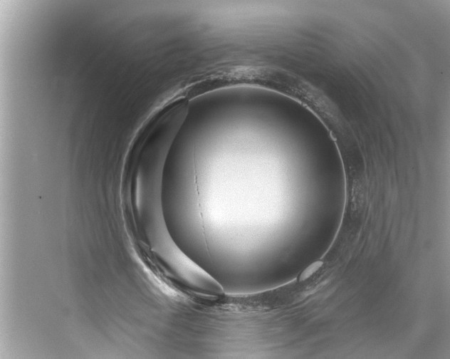 X0000076040722200609291023