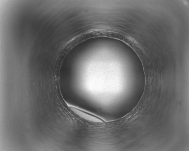 X0000076040822200609291022
