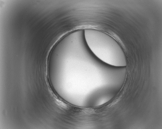 X0000076040844200609291022