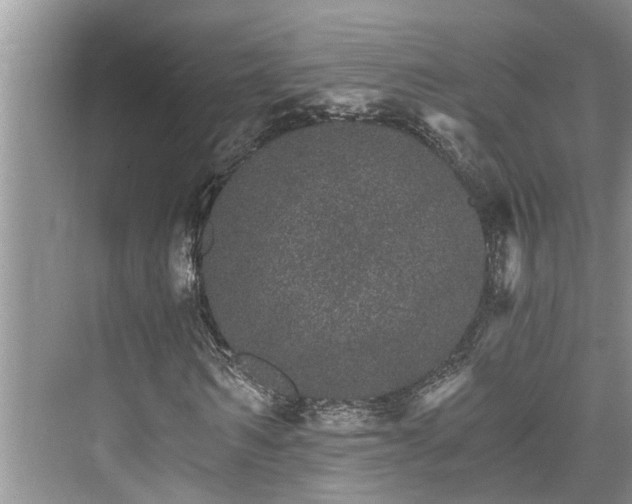 X0000076040962200609291020
