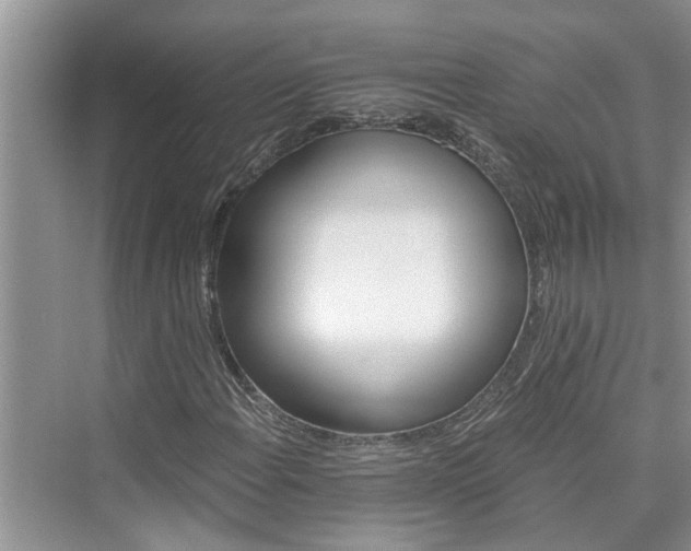 X0000076041108200609291017