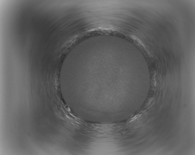 X0000076041110200609291017