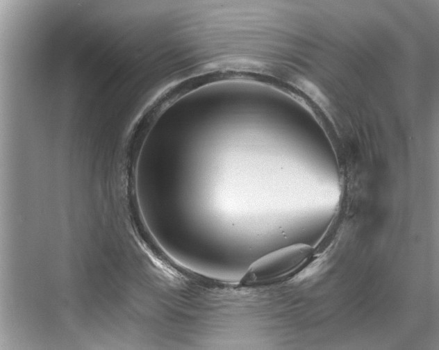 X0000076041115200609291017