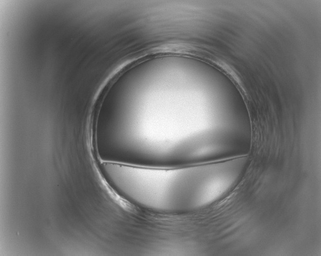 X0000076041131200609291017