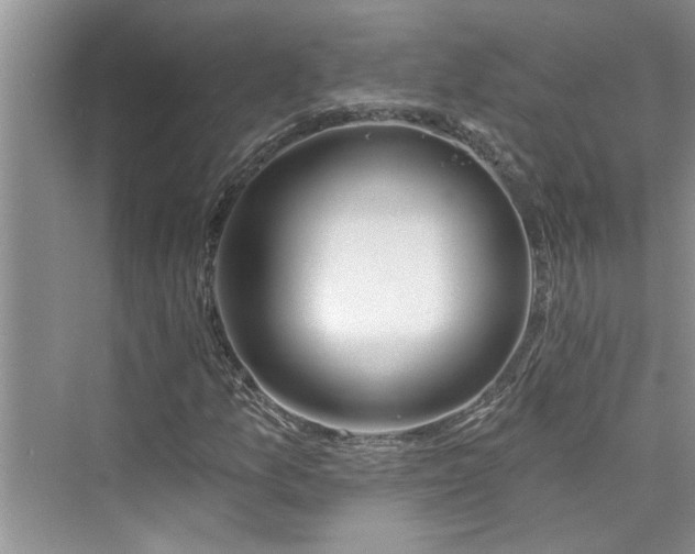 X0000076041157200609291017