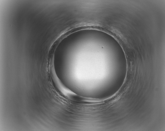 X0000076041165200609291016