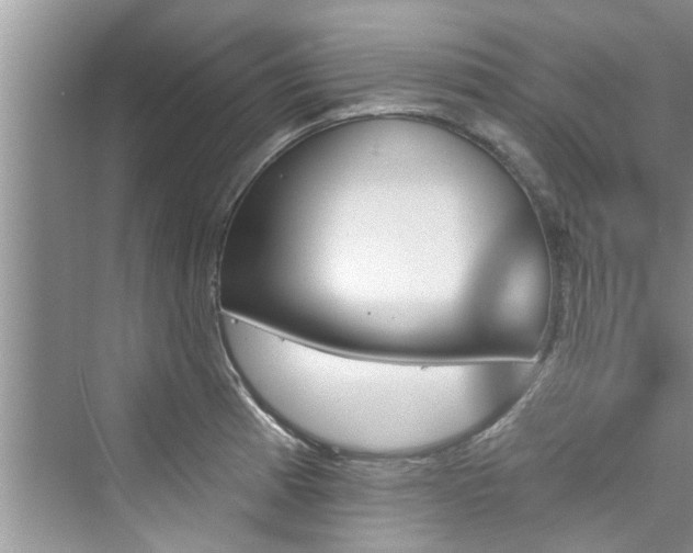 X0000076041185200609291016