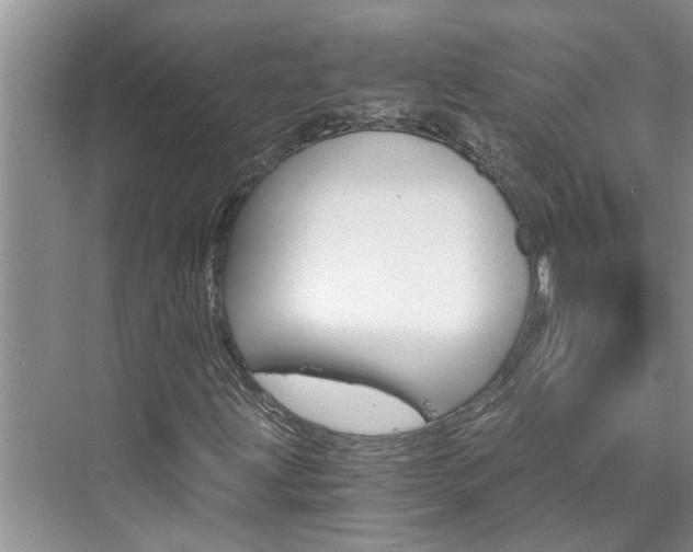 X0000076041203200609291015