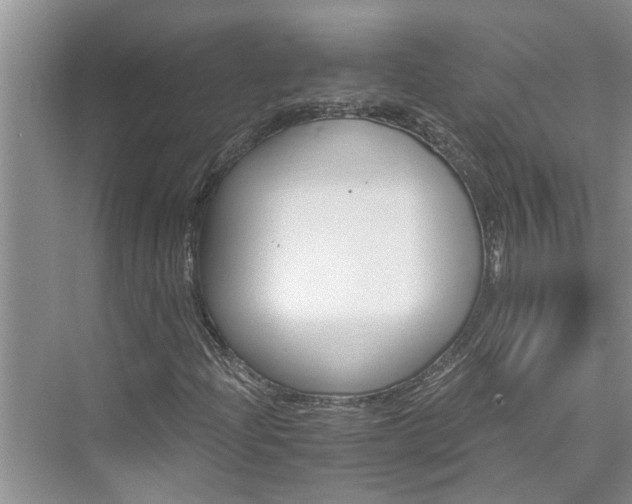 X0000076041204200609291015