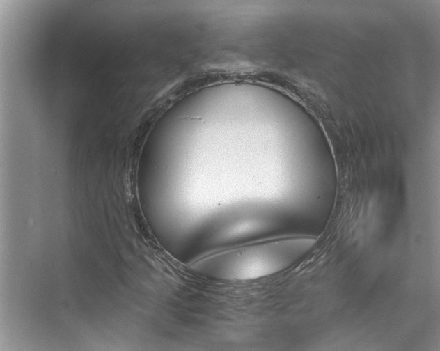 X0000076041205200609291015