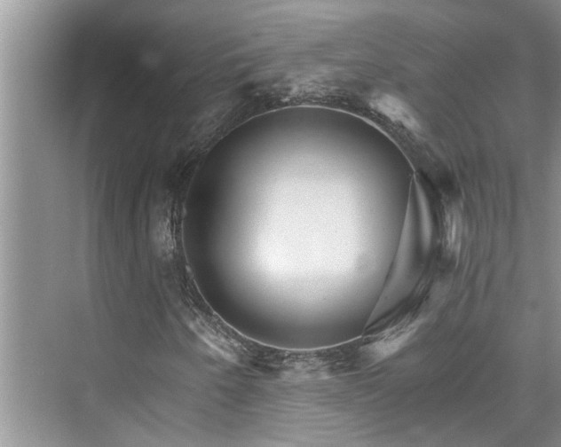 X0000076041250200609291015