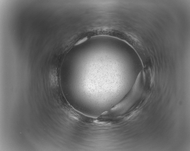 X0000076041252200609291015