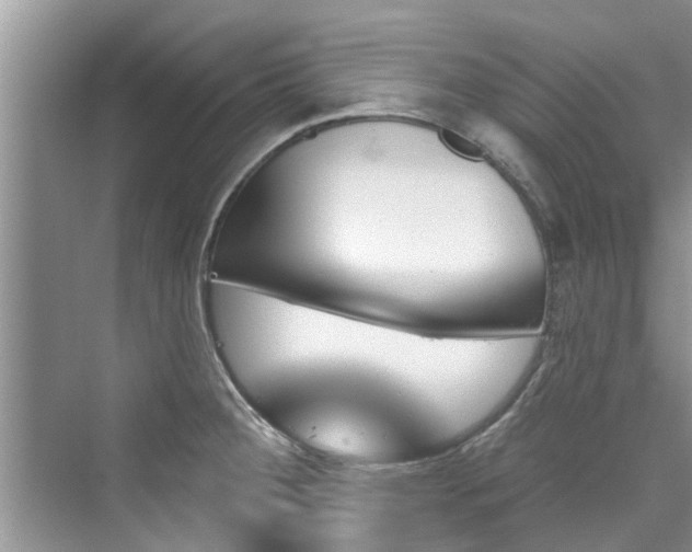 X0000076041284200609291014