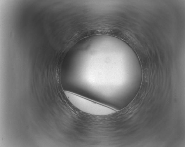X0000076041298200609291013