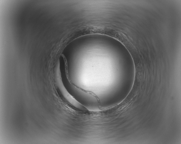 X0000076041345200609291013