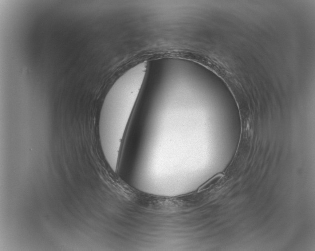 X0000076041348200609291013