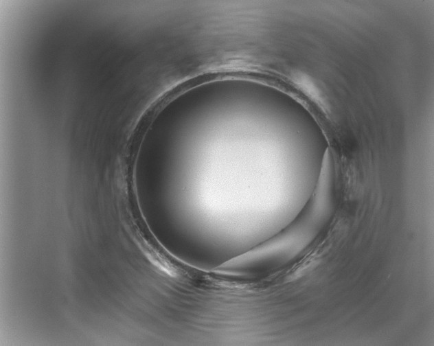 X0000076041356200609291013