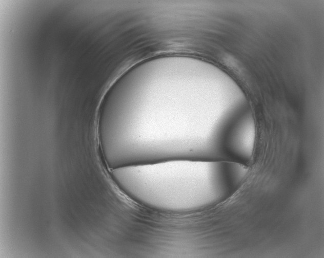 X0000076041370200609291013