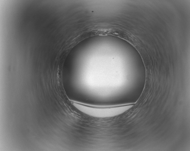 X0000076041394200609291012