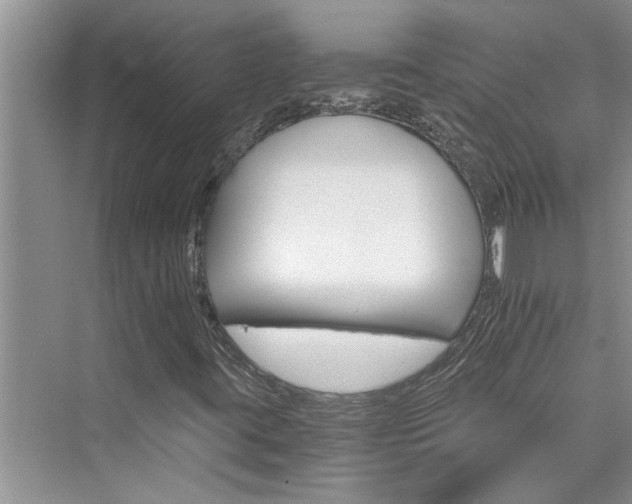 X0000076041395200609291012
