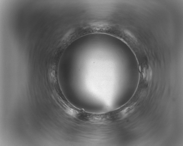 X0000076041396200609291012
