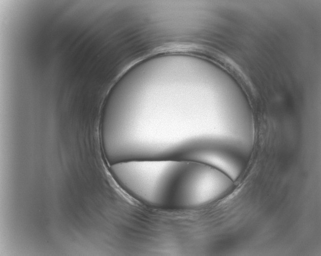 X0000076041417200609291012