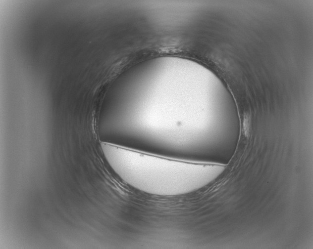 X0000076041444200609291012