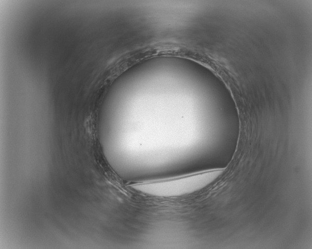 X0000076041445200609291012