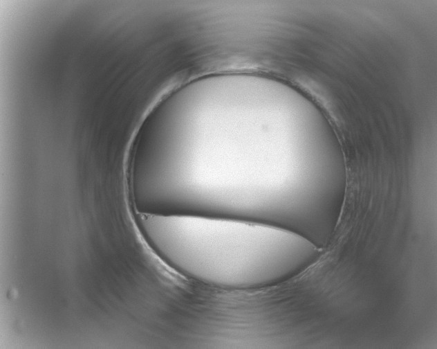 X0000076041475200609291011