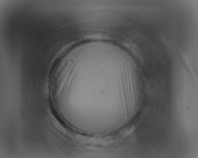 X0000076040016200610061456